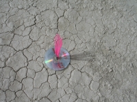 mark_wagner_burningman03