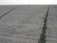 mark_wagner_burningman23