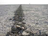 mark_wagner_burningman24
