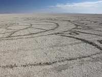 mark_wagner_burningman35
