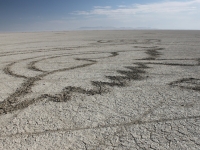 mark_wagner_burningman37