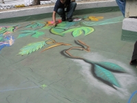 drawingonearth_3dchalkdrawing_venezuela11