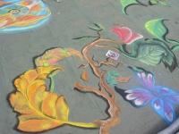 drawingonearth_3dchalkdrawing_venezuela16