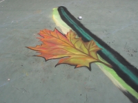 drawingonearth_3dchalkdrawing_venezuela21