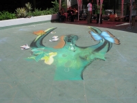 drawingonearth_3dchalkdrawing_venezuela24