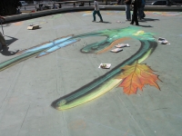 drawingonearth_3dchalkdrawing_venezuela25